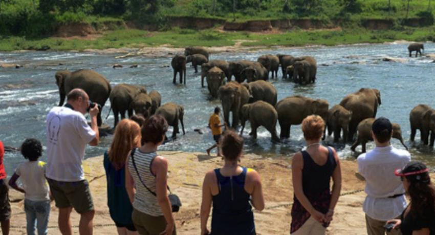 Sri Lanka Welcomes 82,000 Visitors in November